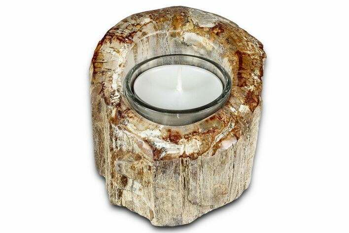 Polished Petrified Wood Candle Holder - Madagascar #337578